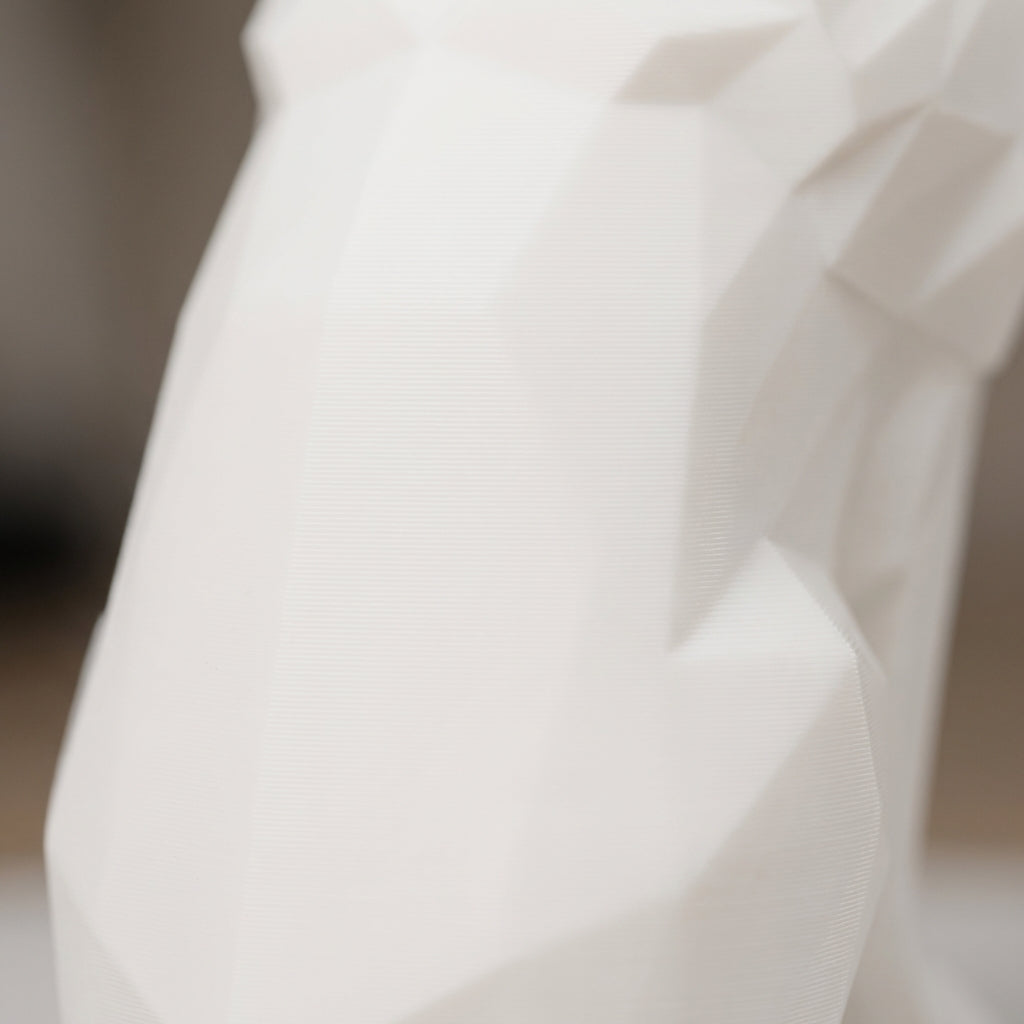 Close-up of matte white PLA surface