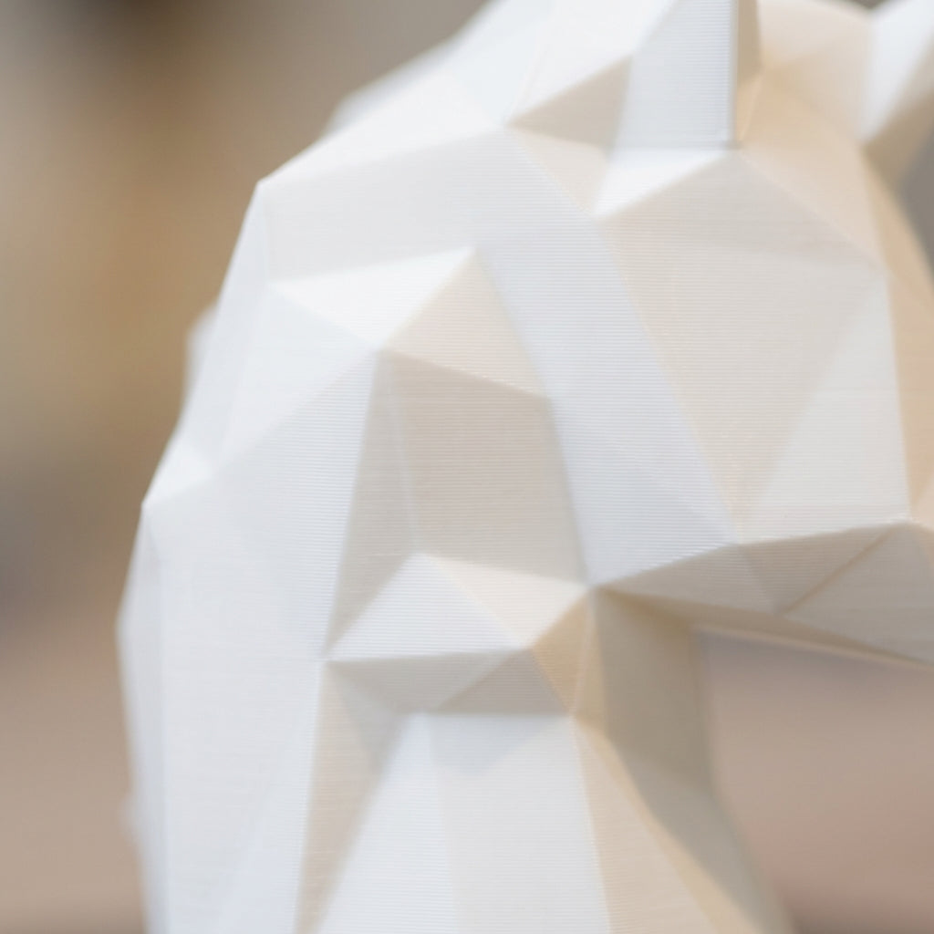 Surface detail close-up